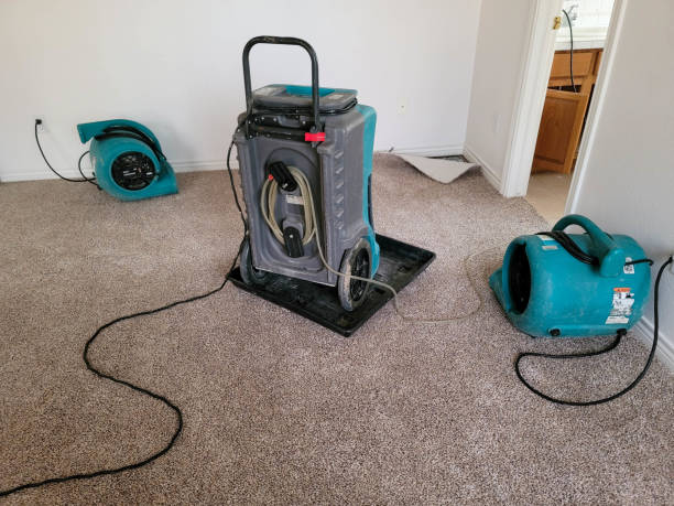 Best 24-hour water damage restoration  in Fox Lake, WI