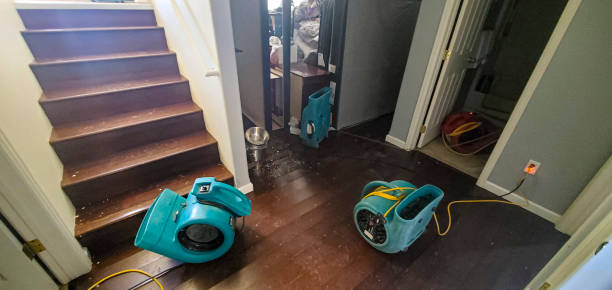 Carpet water damage restoration in Fox Lake, WI