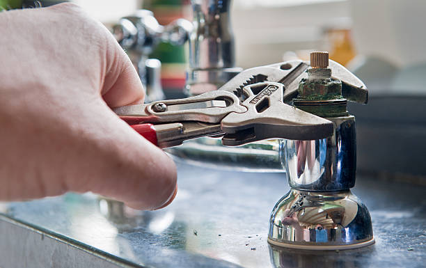 Best Mold removal after water damage  in Fox Lake, WI