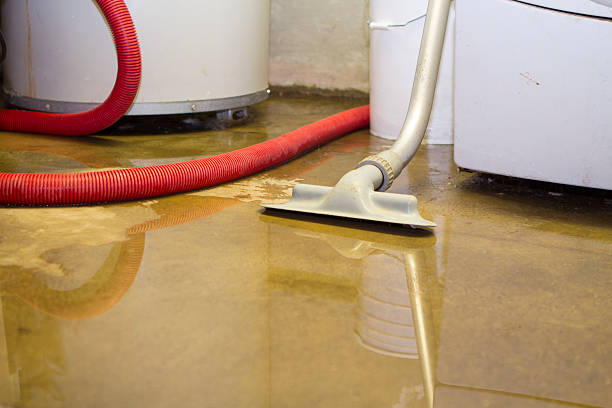 Best Mold removal after water damage  in Fox Lake, WI