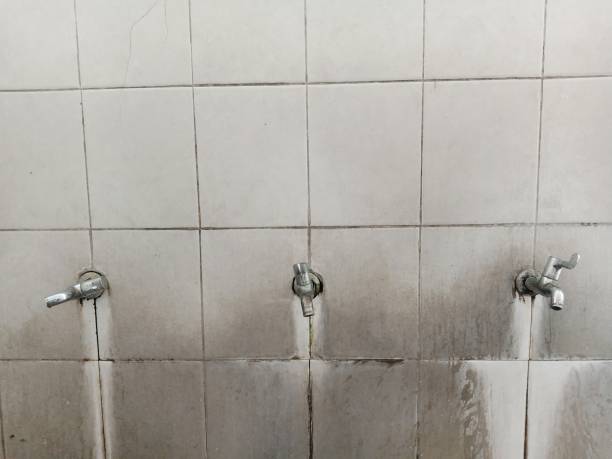 Best Water damage cleanup near me  in Fox Lake, WI