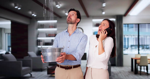 Best Water damage cleanup near me  in Fox Lake, WI
