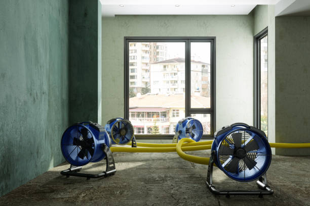 Best Carpet water damage restoration  in Fox Lake, WI