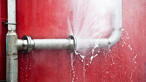 Best Water damage restoration mold remediation  in Fox Lake, WI